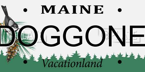 DOGGONE Maine License Plate