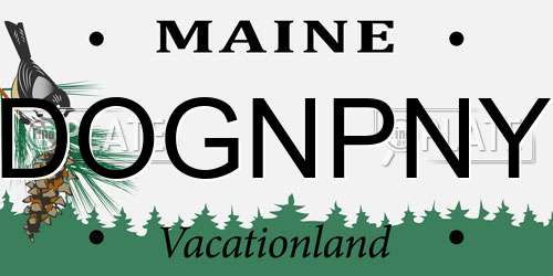 DOGNPNY Maine License Plate