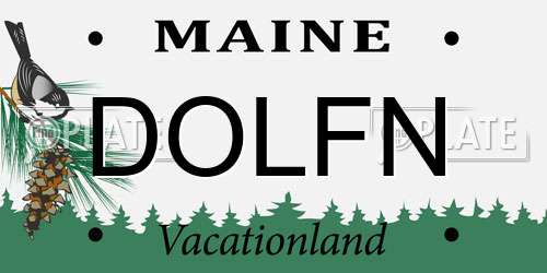 DOLFN Maine License Plate