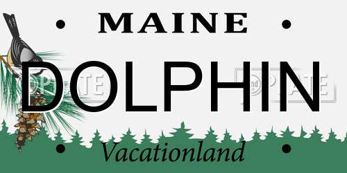 DOLPHIN Maine License Plate
