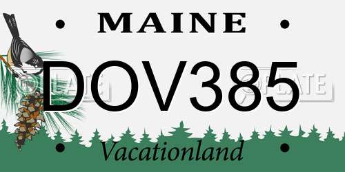 DOV385 Maine License Plate
