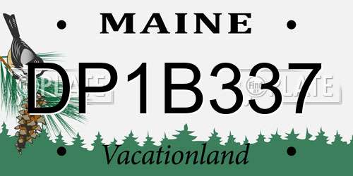 DP1B337 Maine License Plate