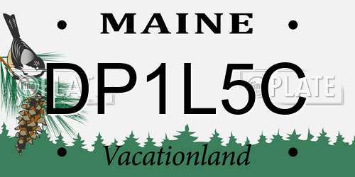 DP1L5C Maine License Plate