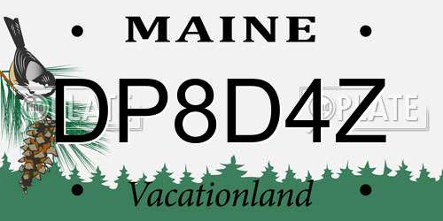 DP8D4Z Maine License Plate