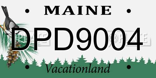 DPD9004 Maine License Plate