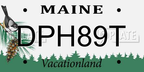 DPH89T Maine License Plate