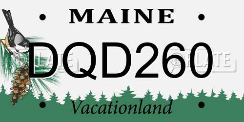 DQD260 Maine License Plate