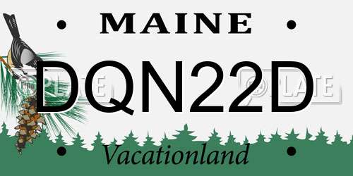 DQN22D Maine License Plate