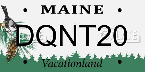 DQNT20 Maine License Plate