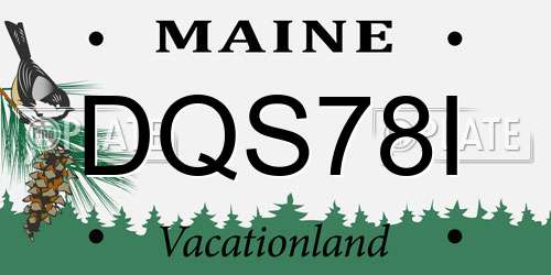 DQS78I Maine License Plate