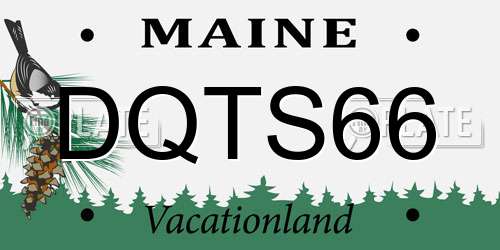 DQTS66 Maine License Plate