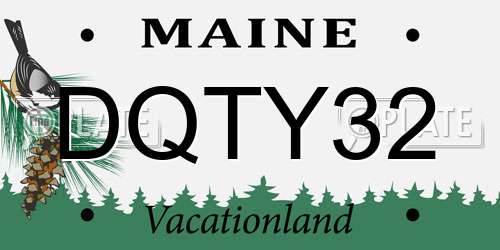 DQTY32 Maine License Plate