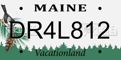 DR4L812 Maine License Plate