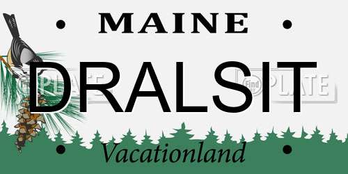 DRALSIT Maine License Plate