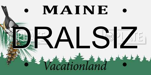 DRALSIZ Maine License Plate