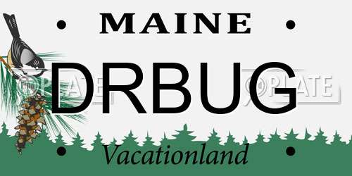 DRBUG Maine License Plate