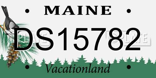 DS15782 Maine License Plate