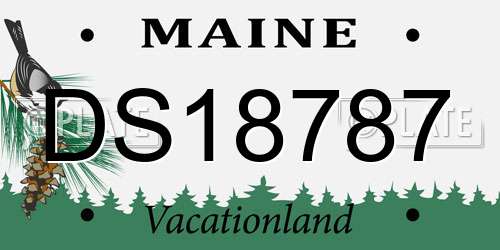 DS18787 Maine License Plate