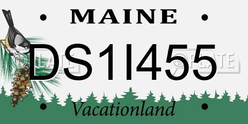 DS1I455 Maine License Plate
