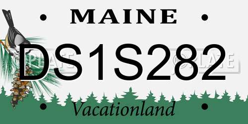 DS1S282 Maine License Plate