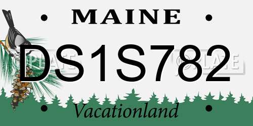 DS1S782 Maine License Plate