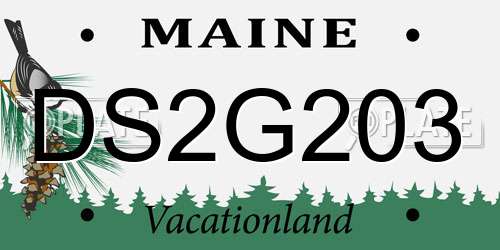 DS2G203 Maine License Plate