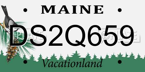DS2Q659 Maine License Plate