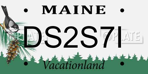 DS2S7I Maine License Plate