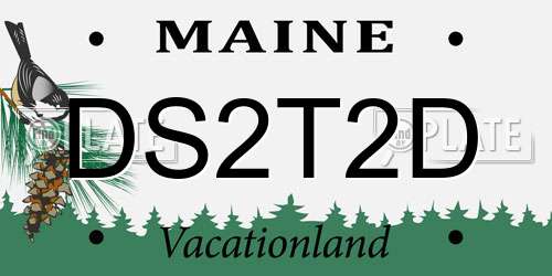 DS2T2D Maine License Plate