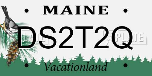 DS2T2Q Maine License Plate