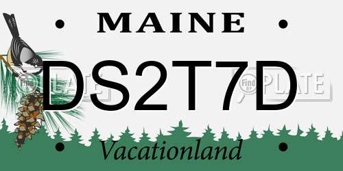 DS2T7D Maine License Plate