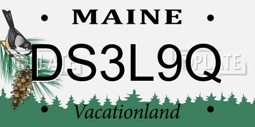 DS3L9Q Maine License Plate