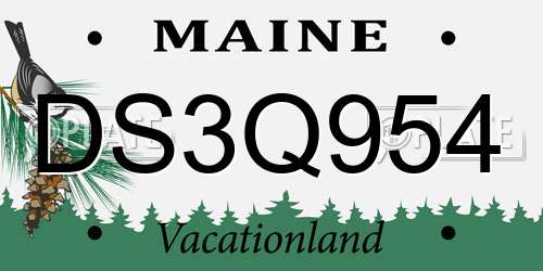 DS3Q954 Maine License Plate