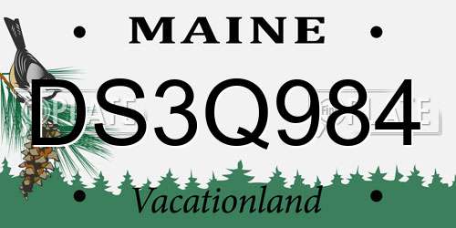 DS3Q984 Maine License Plate