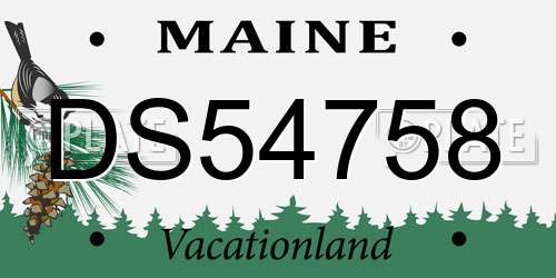 DS54758 Maine License Plate