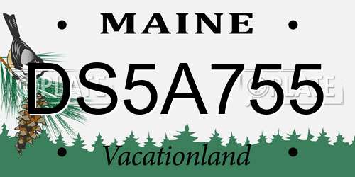 DS5A755 Maine License Plate