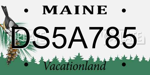 DS5A785 Maine License Plate