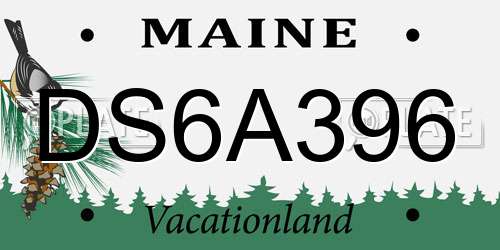DS6A396 Maine License Plate