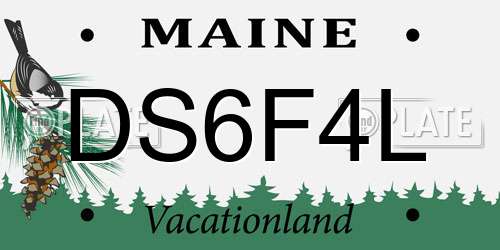 DS6F4L Maine License Plate