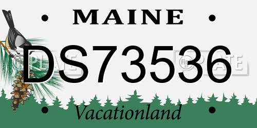 DS73536 Maine License Plate