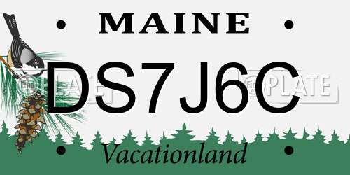 DS7J6C Maine License Plate