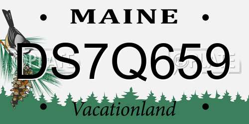 DS7Q659 Maine License Plate