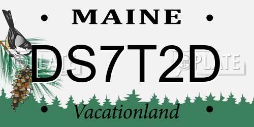 DS7T2D Maine License Plate