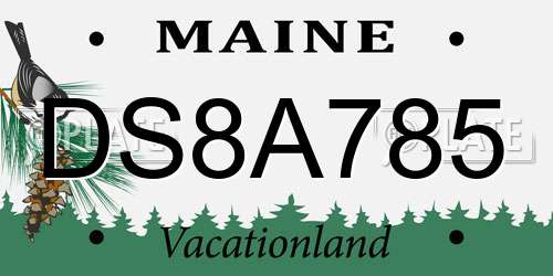 DS8A785 Maine License Plate