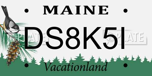 DS8K5I Maine License Plate