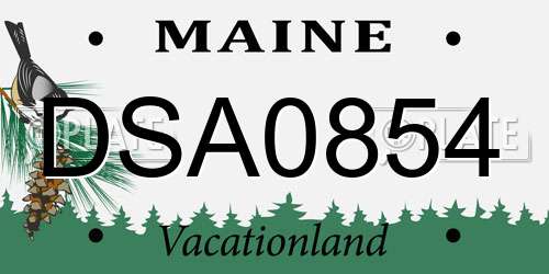 DSA0854 Maine License Plate