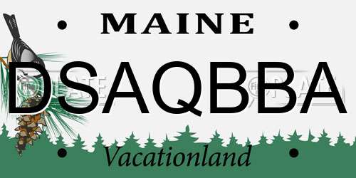 DSAQBBA Maine License Plate