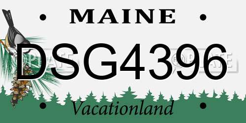 DSG4396 Maine License Plate