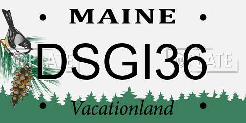 DSGI36 Maine License Plate