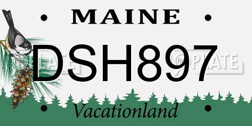DSH897 Maine License Plate